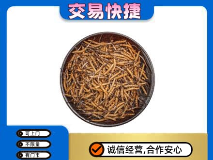 武夷山市回收散虫草